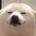 ස්ටිකර්