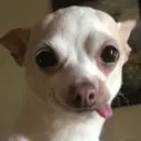 ස්ටිකර්