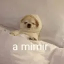 ස්ටිකර්