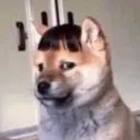 ස්ටිකර්