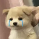 ස්ටිකර්