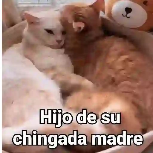 Figurinha