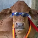 Çıkartma