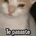 ステッカー