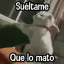 ステッカー