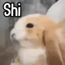 ステッカー