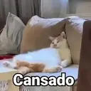 Figurinha