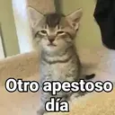 Figurinha