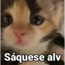 Figurinha