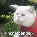 Figurinha