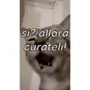 Stika