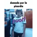Stika