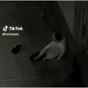 Pelekat