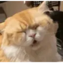 Pelekat