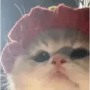 Pelekat