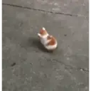 Pelekat