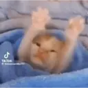 Pelekat