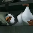 Stika