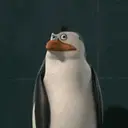 Stika