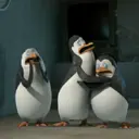 Stika
