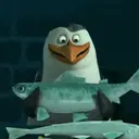 Stika
