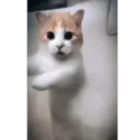 Çıkartma
