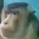 ملصق