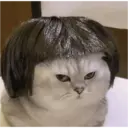 Límmiði