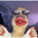 מדבקה