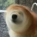ملصق