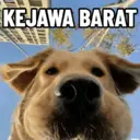 ملصق