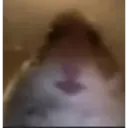 Çıkartma