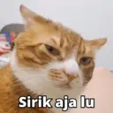 Stiker
