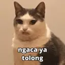 Stiker