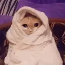 Nhãn dán