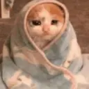 Nhãn dán