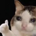 Nhãn dán
