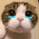 Nhãn dán