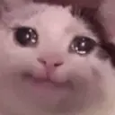 Nhãn dán