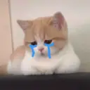 Nhãn dán