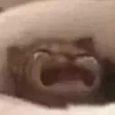 Nhãn dán