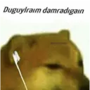 Samolepka