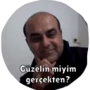 Ngjitës