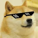 贴纸