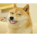 贴纸