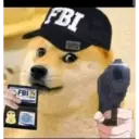 贴纸