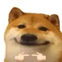 贴纸