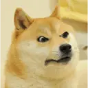 贴纸