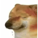 贴纸