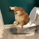 贴纸